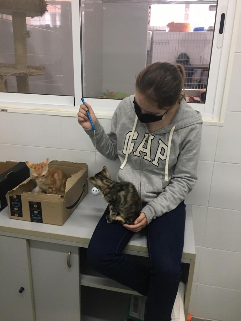 Volunteer in Bilbao