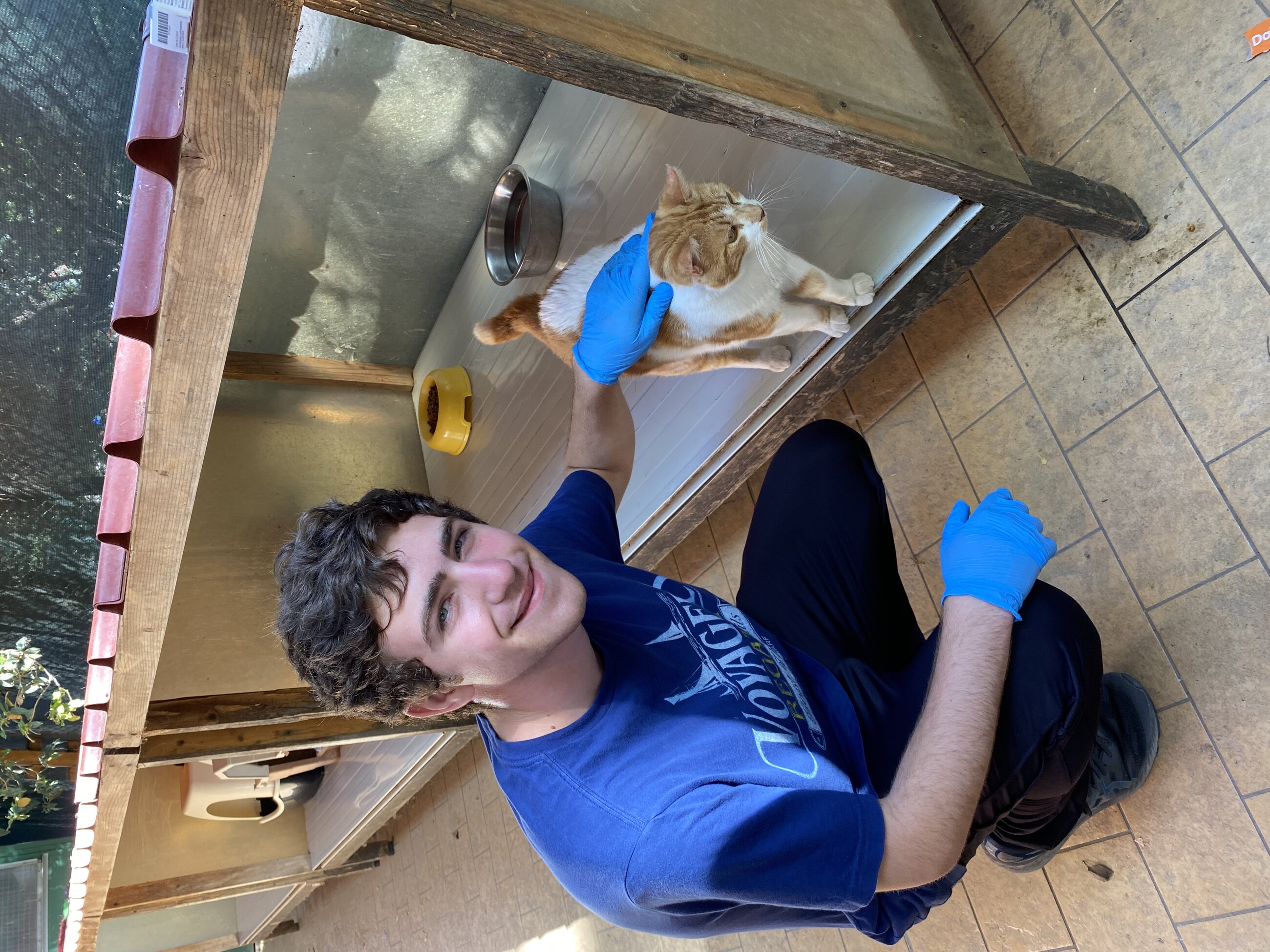 Me petting one of my favorite cats.