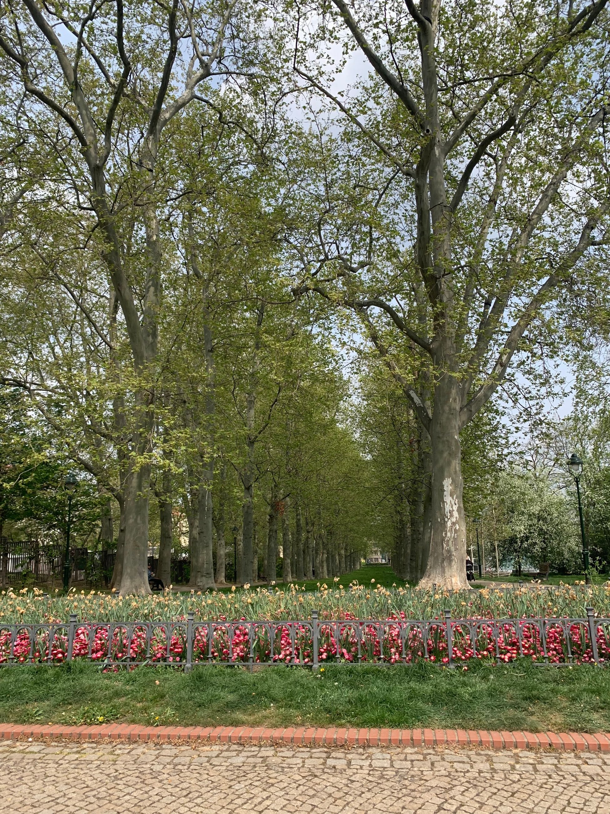 Letná Park - my favorite park in Prague that has a wonderful view of the city, gorgeous flowers in the spring, and a tasty beer garden