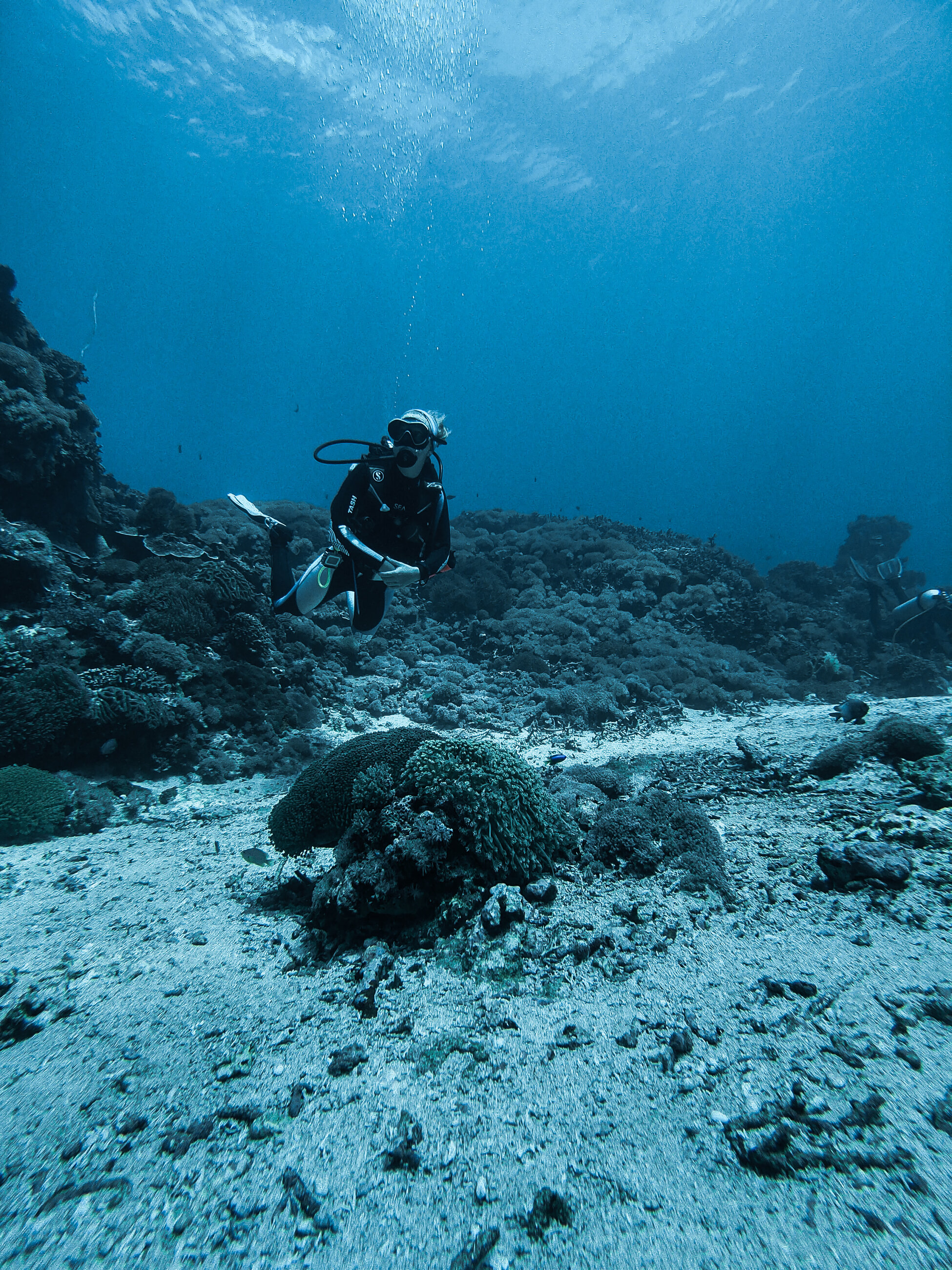 Dive at Toyapakeh