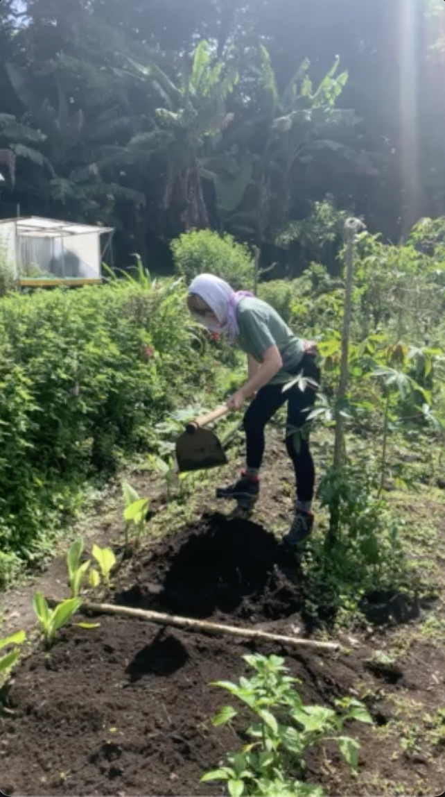 I worked mainly in the organic garden.