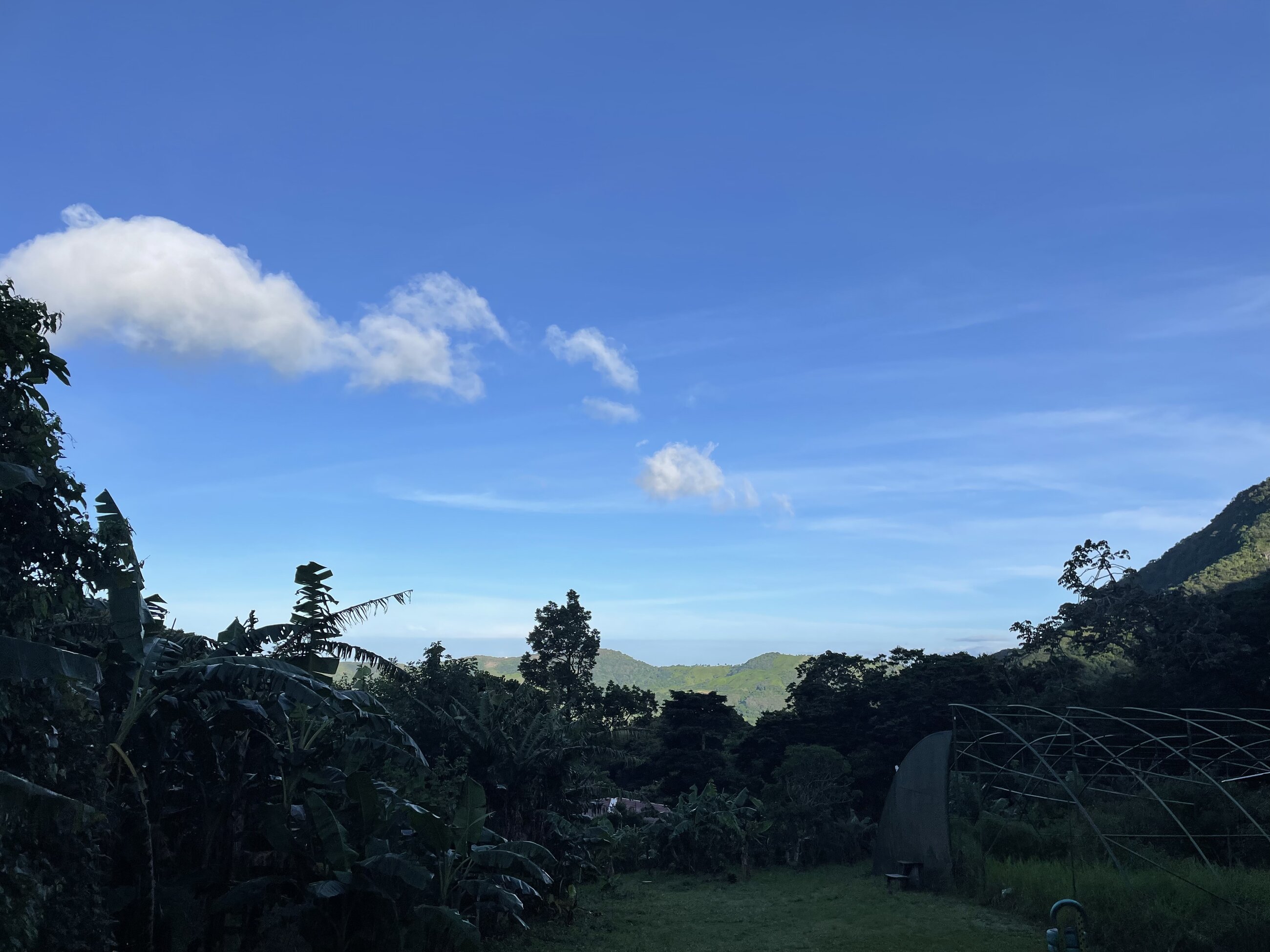 The view from on top of the mountain