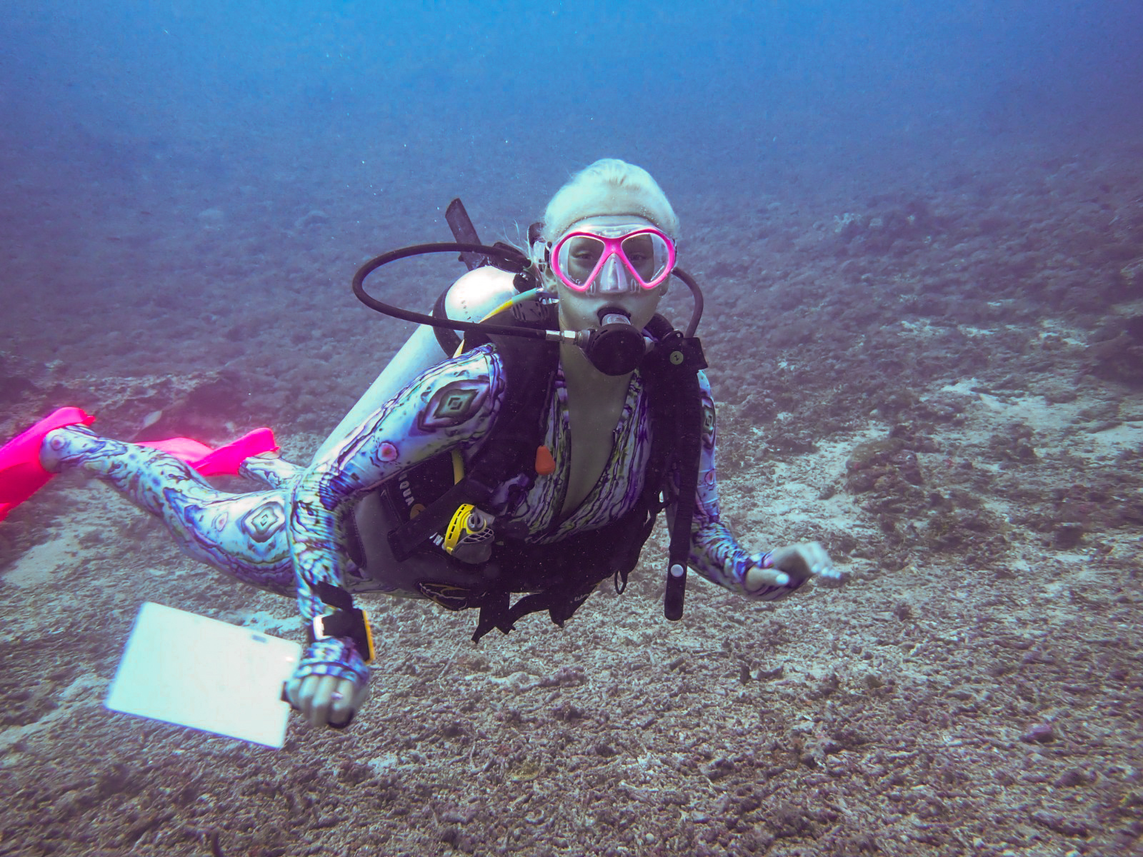 ROVing Dive