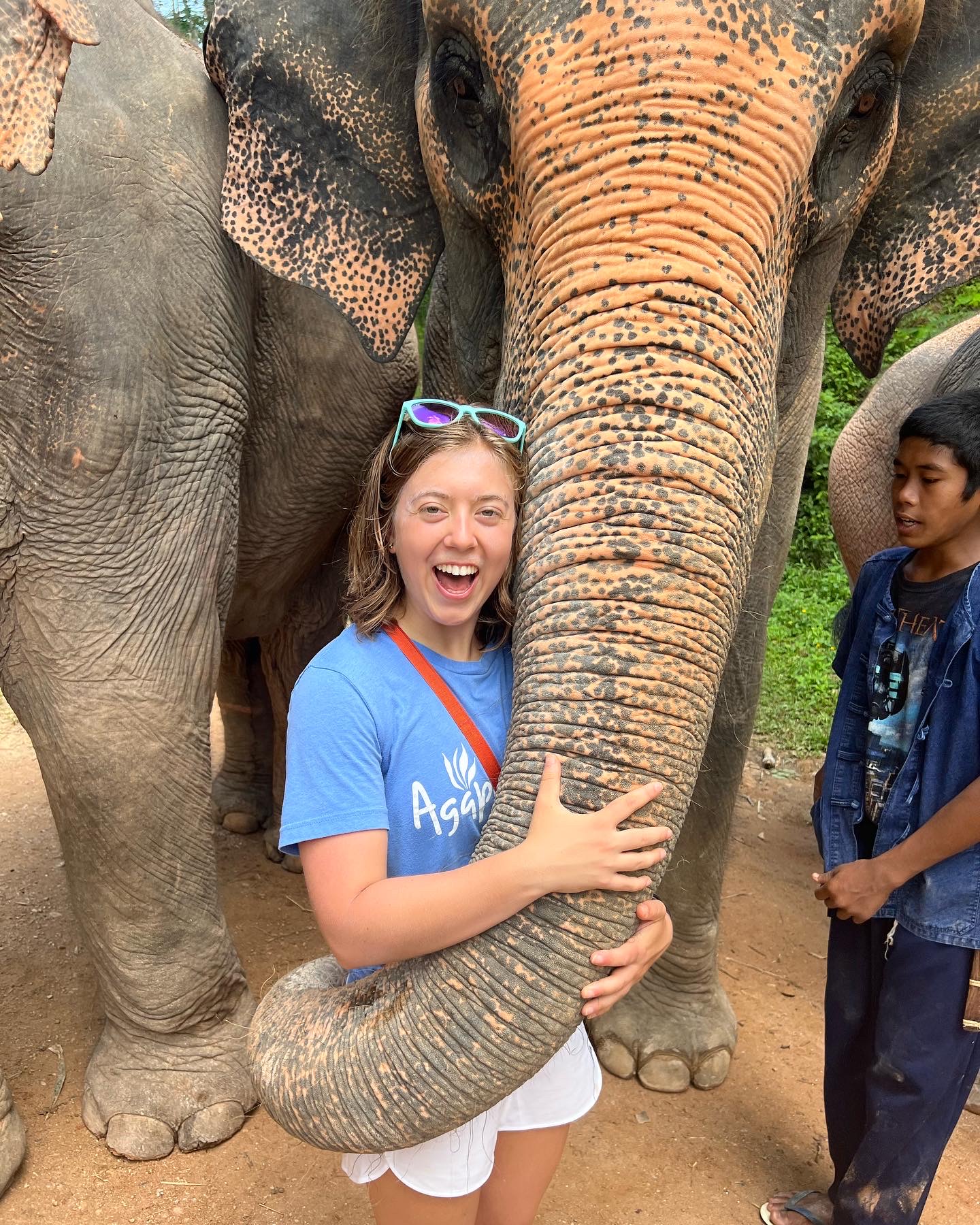 Linda the Elephant at Phuket Elephant Sanctuary 