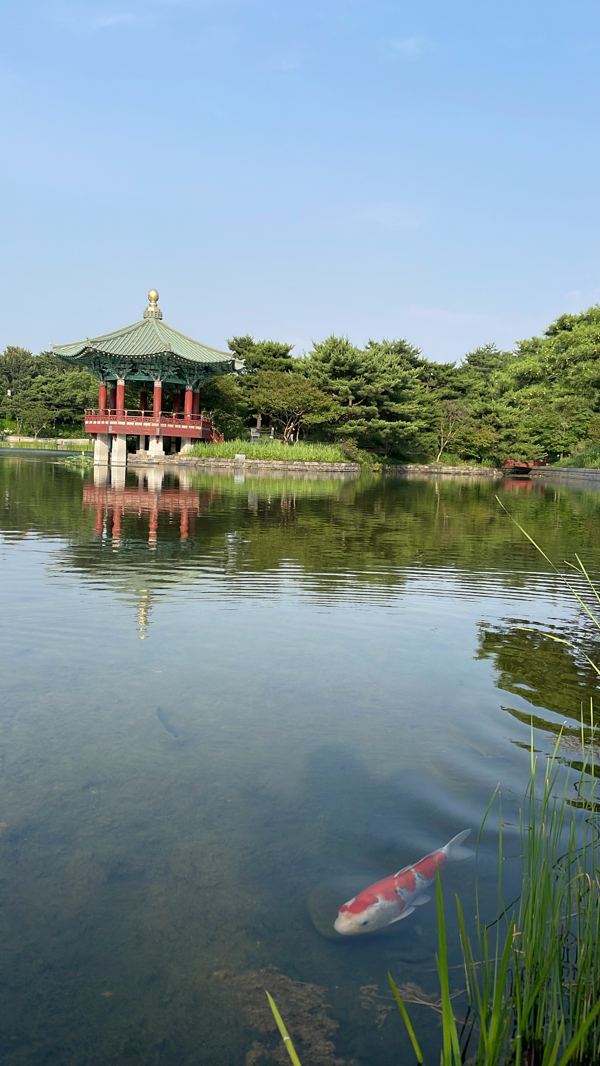 At the National Museum of Korea