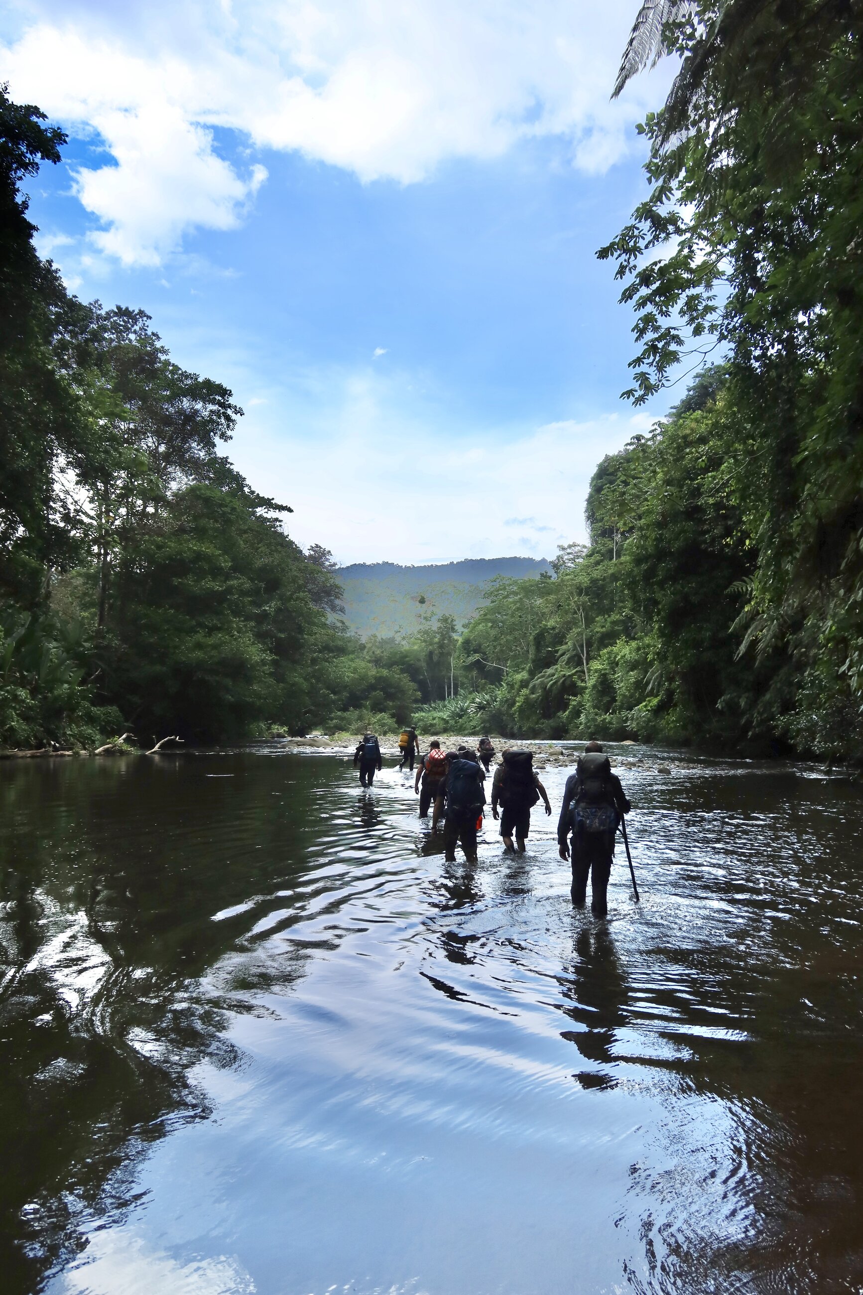 Jungle trek expedition leader training