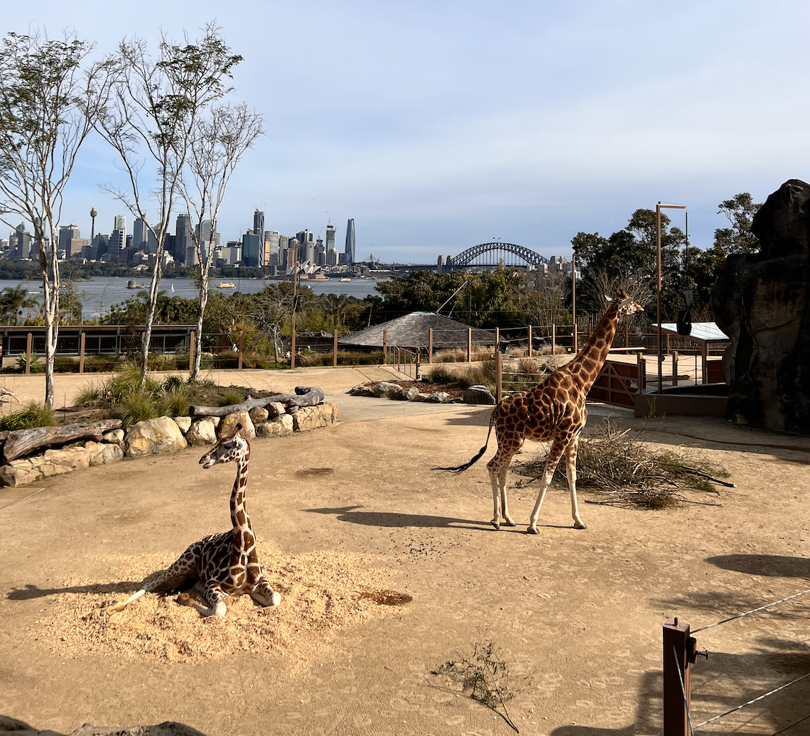 Group Trip to the Zoo!