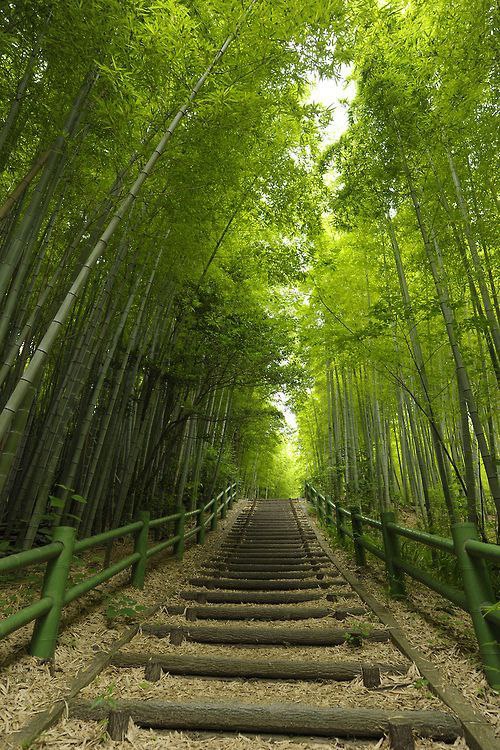 Nagoya