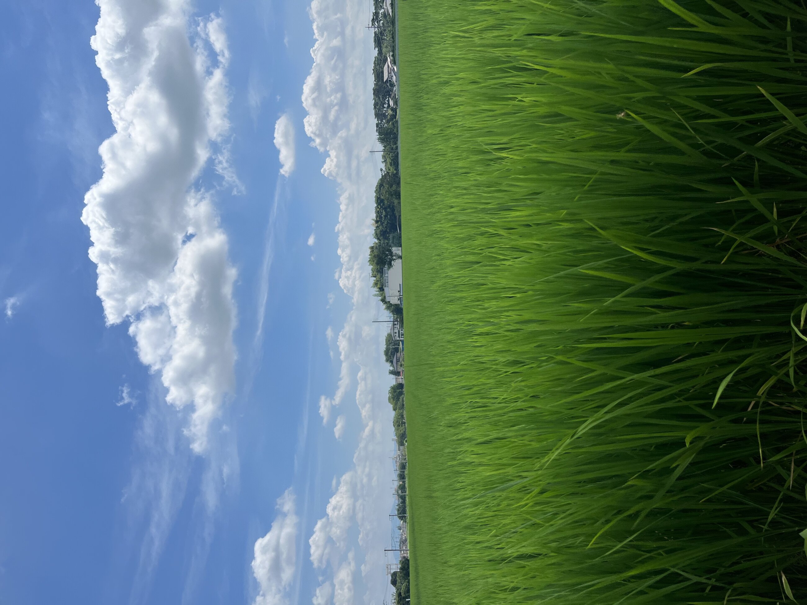 Ibaraki, Japan countryside