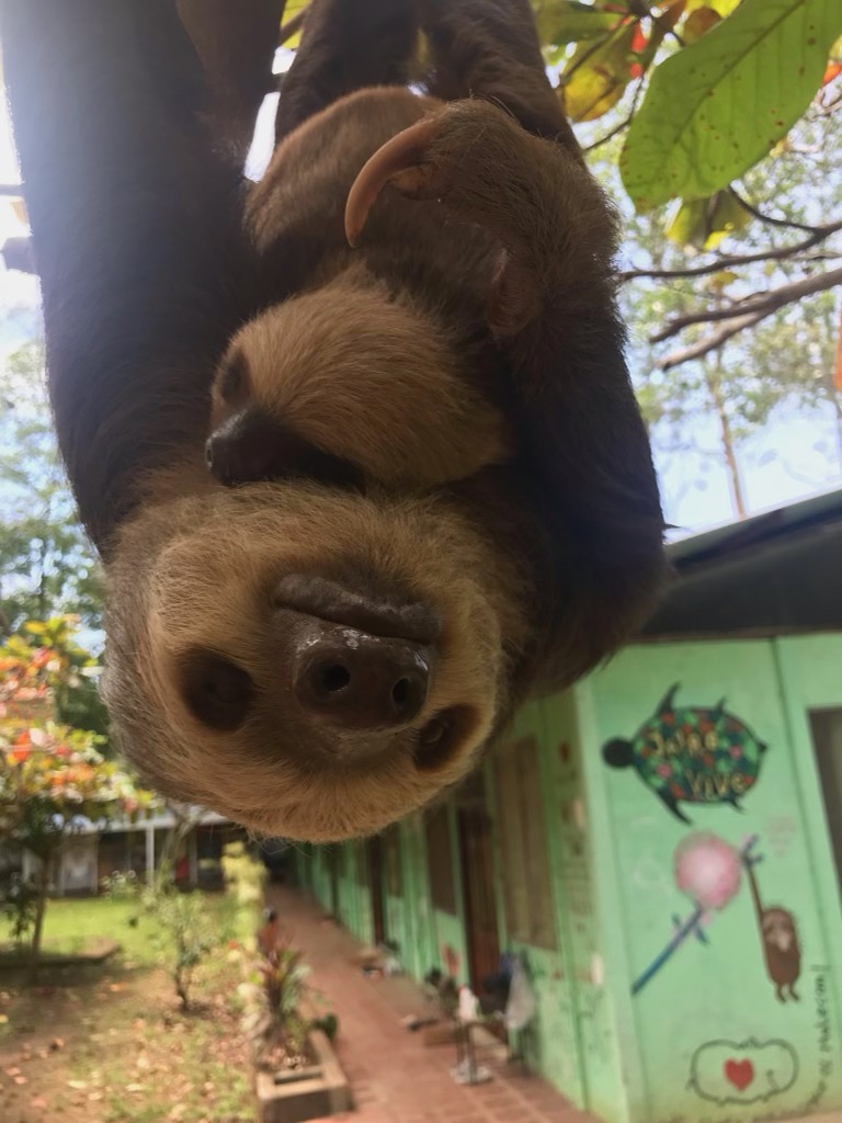 Visit to wildlife sanctuary