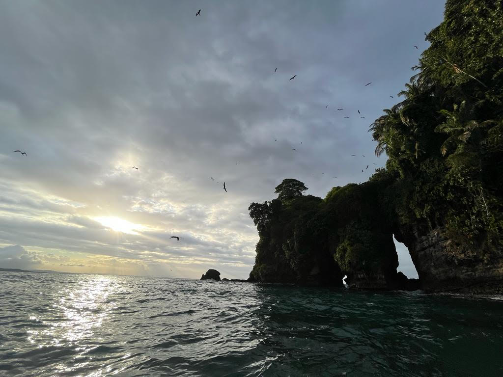 Isla Pajaro, Boca del Drago, Panama