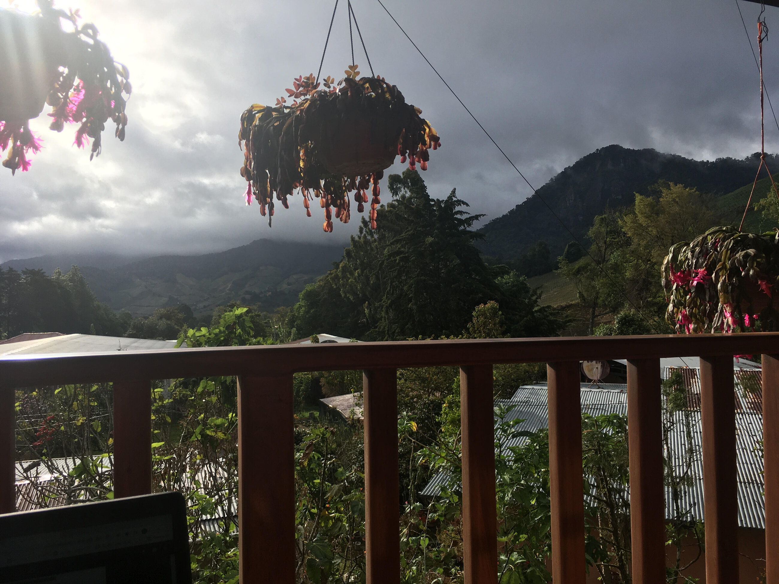 Los Quetzales, Cerro Punta, Panama