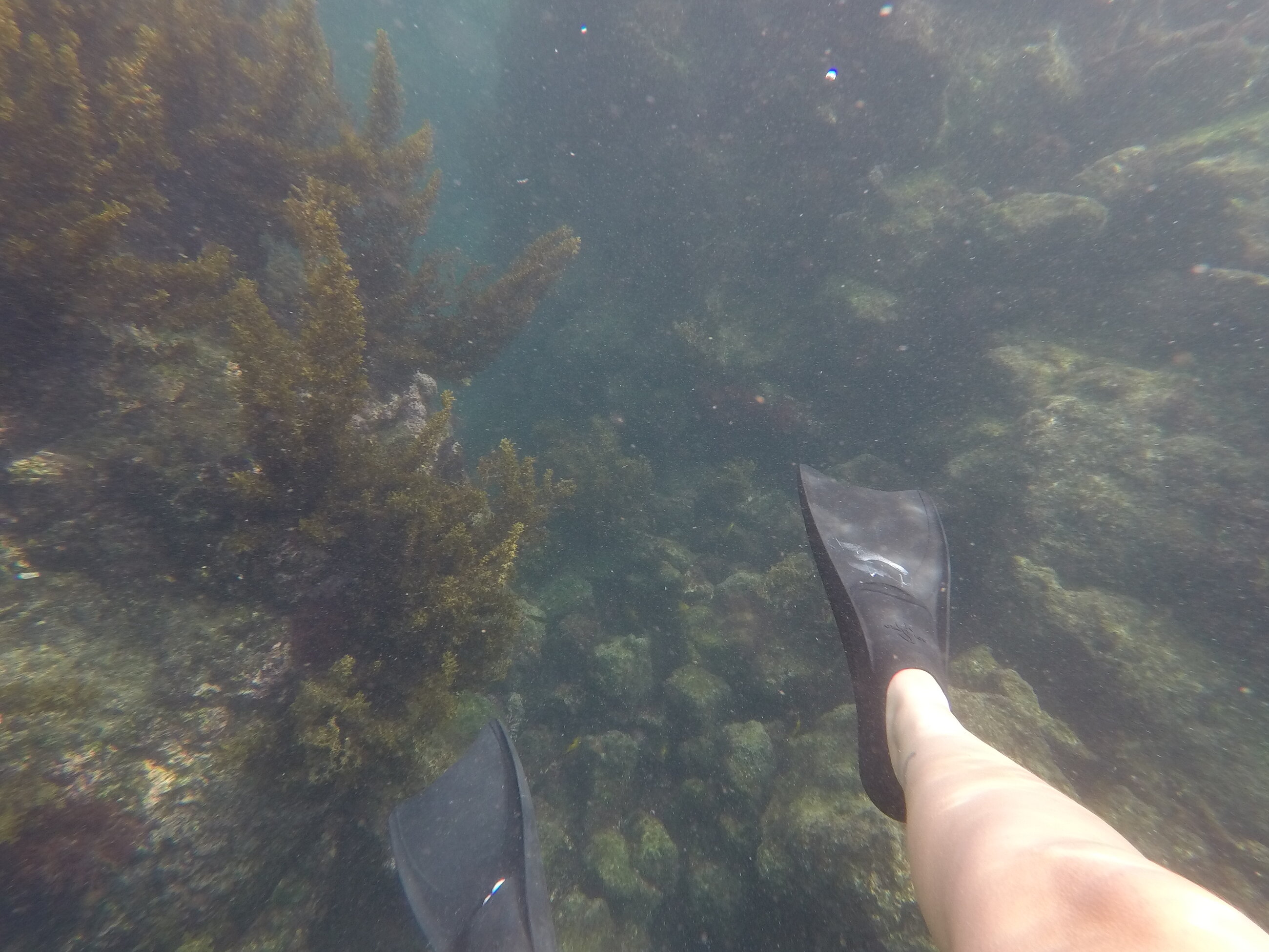 Snorkeling at Tuneles