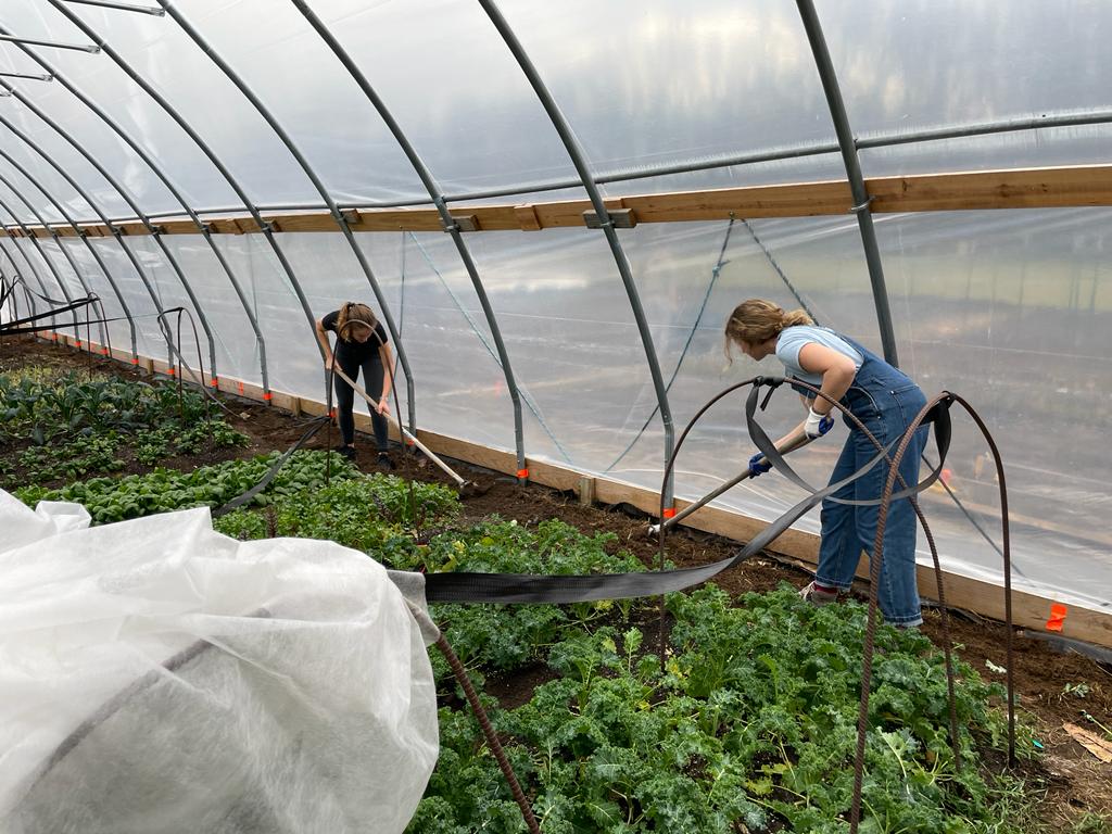 farming work