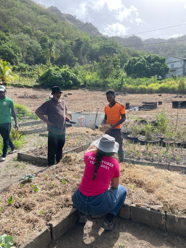 Permaculture