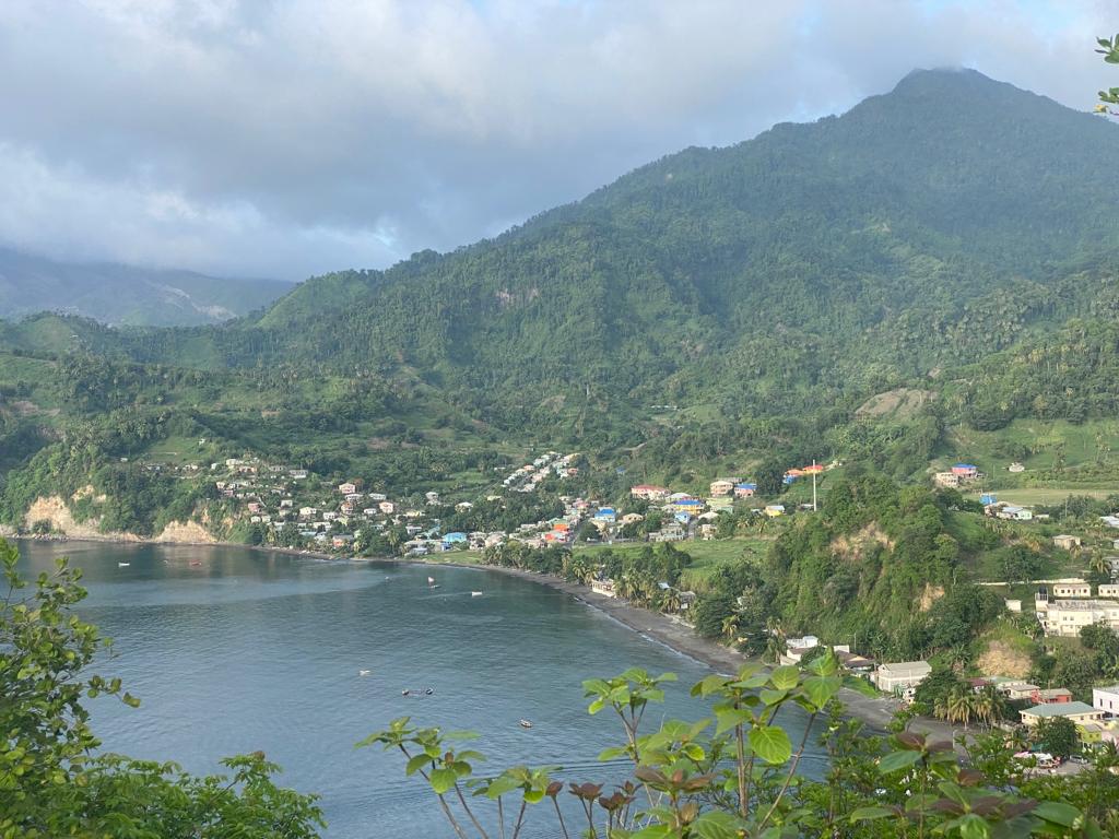 Vincy Landscape