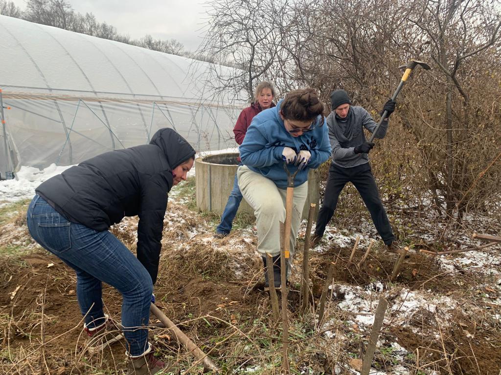 Farm work