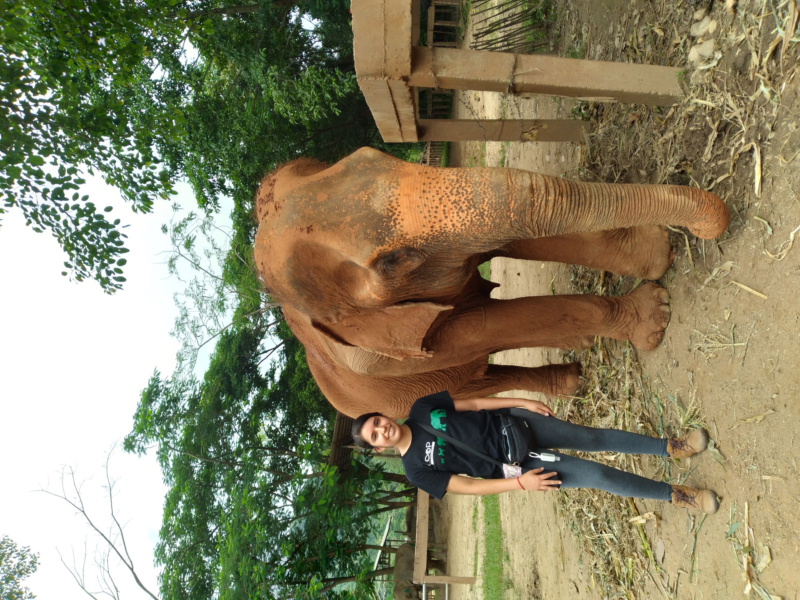 At Elephant Nature Park (ENP)