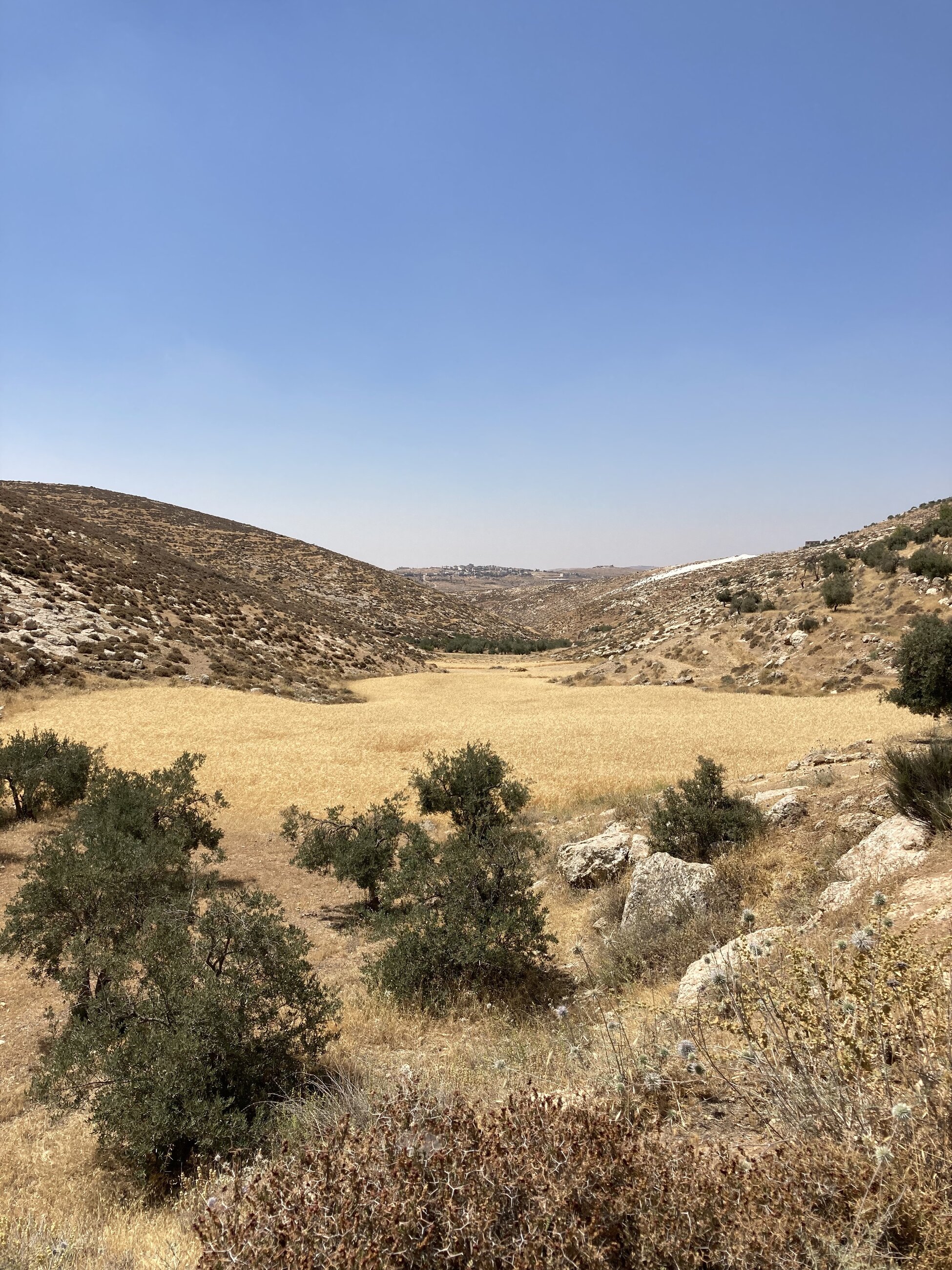 Views from hiking around Hebron