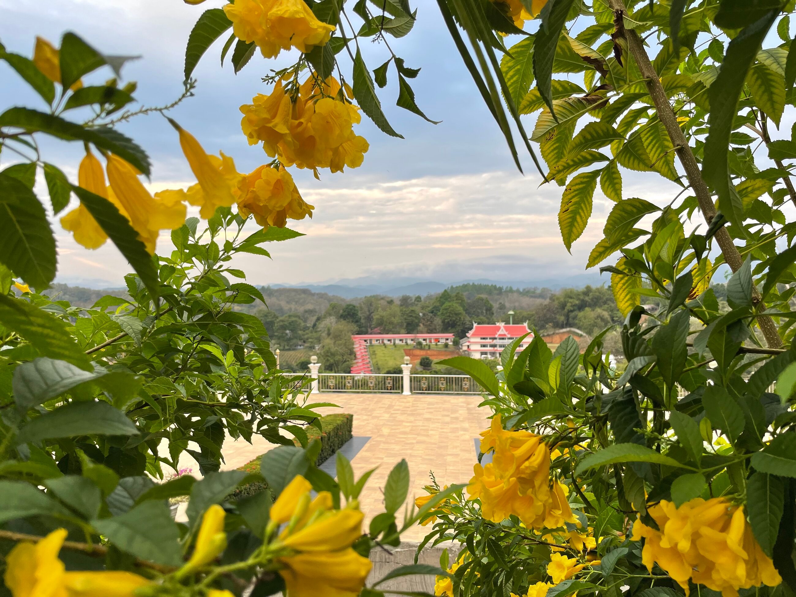 View from the Big Buddha Temple in Chiang Rai