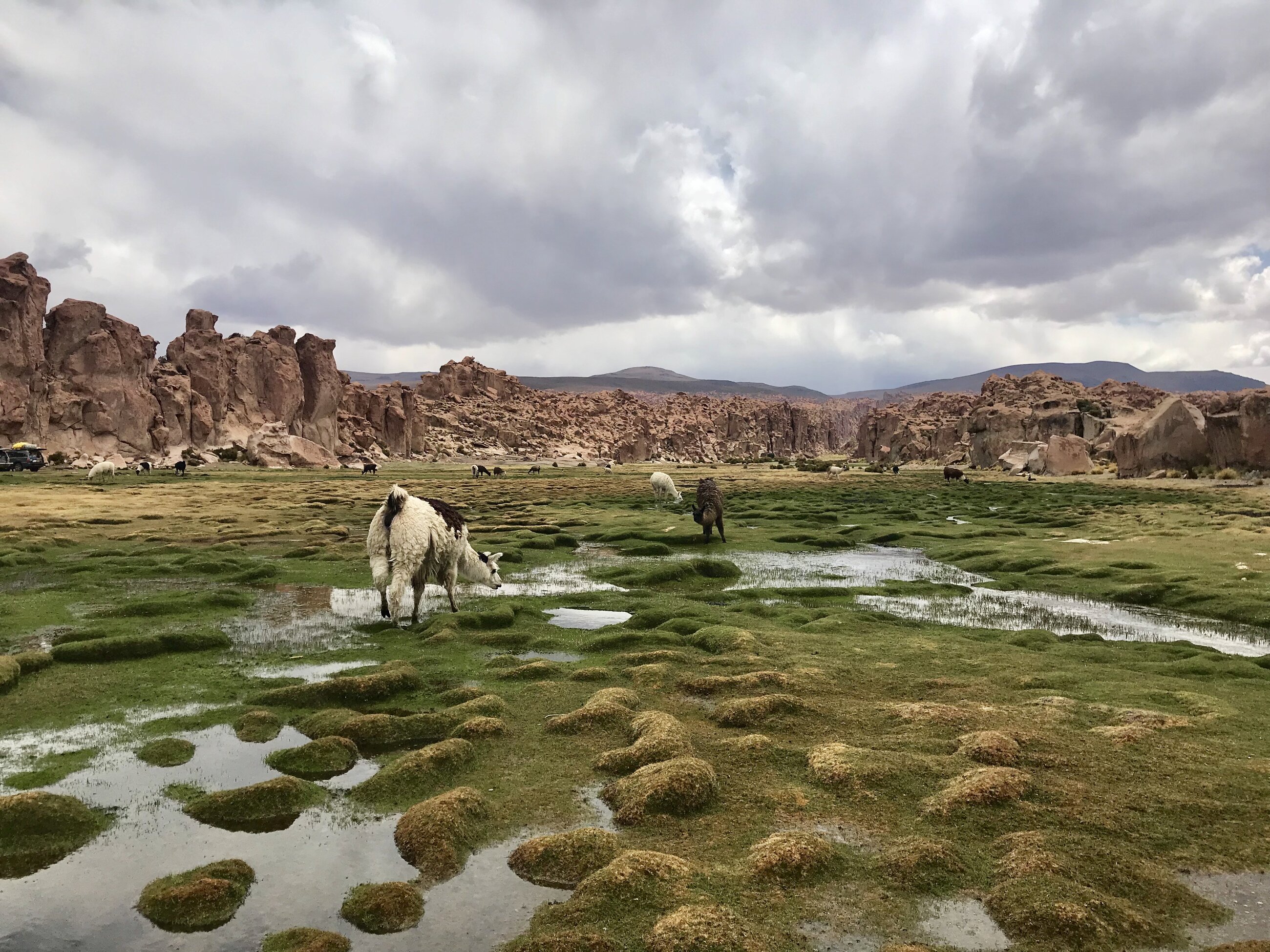 Uyuni