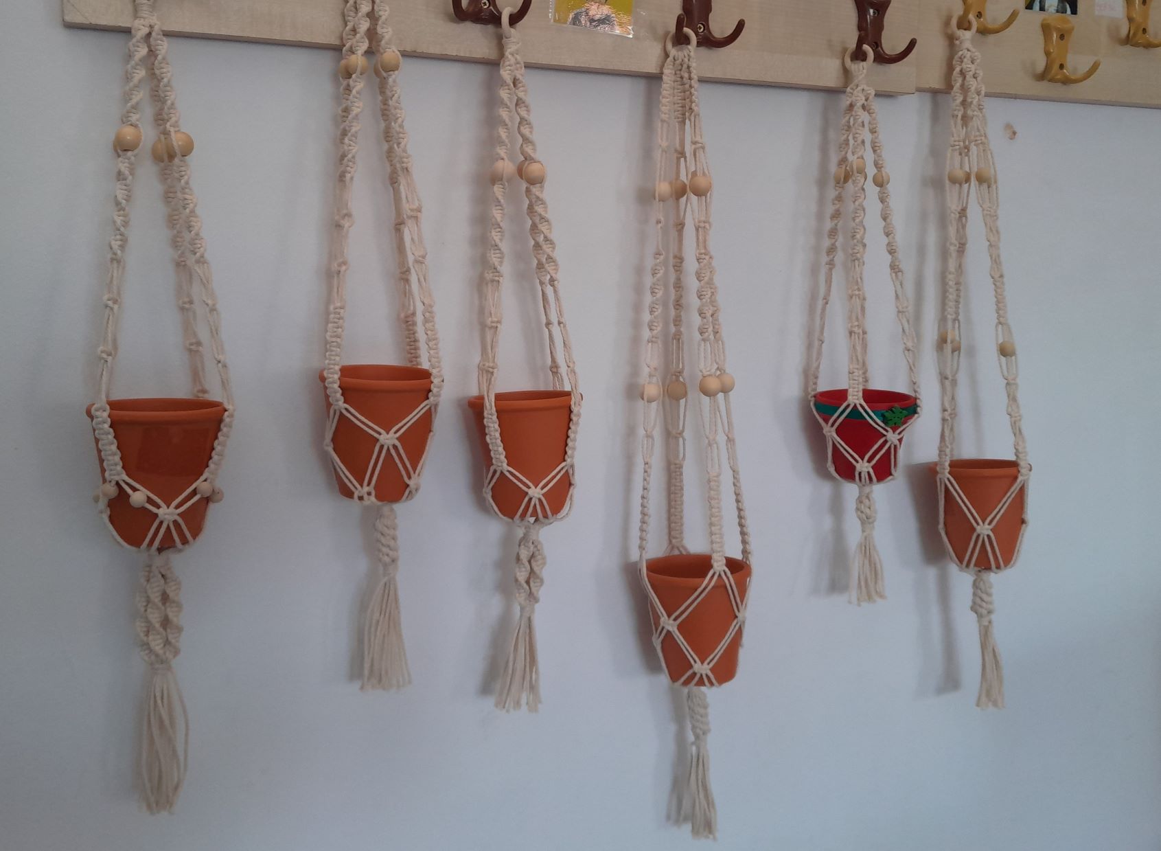 Macrame - hanging basket (Fundatia Rafael)