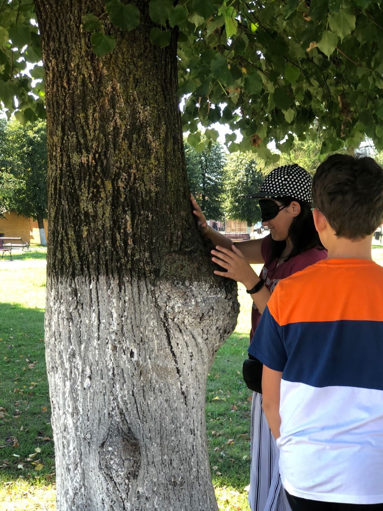 to explore the tree (bark)