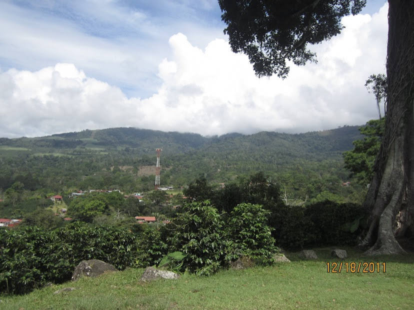 Green everywhere!