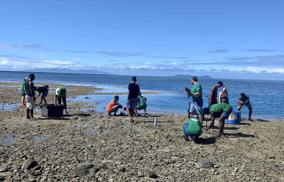 Mangrove planting session.
