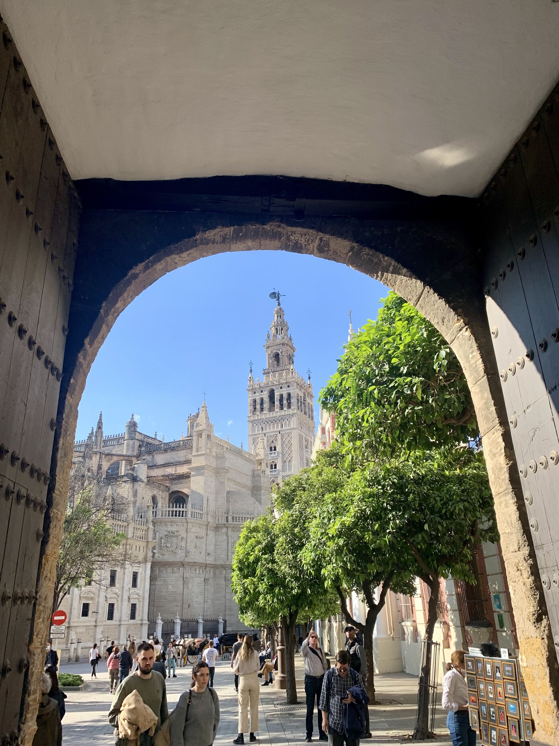 Seville's beautiful cathedral