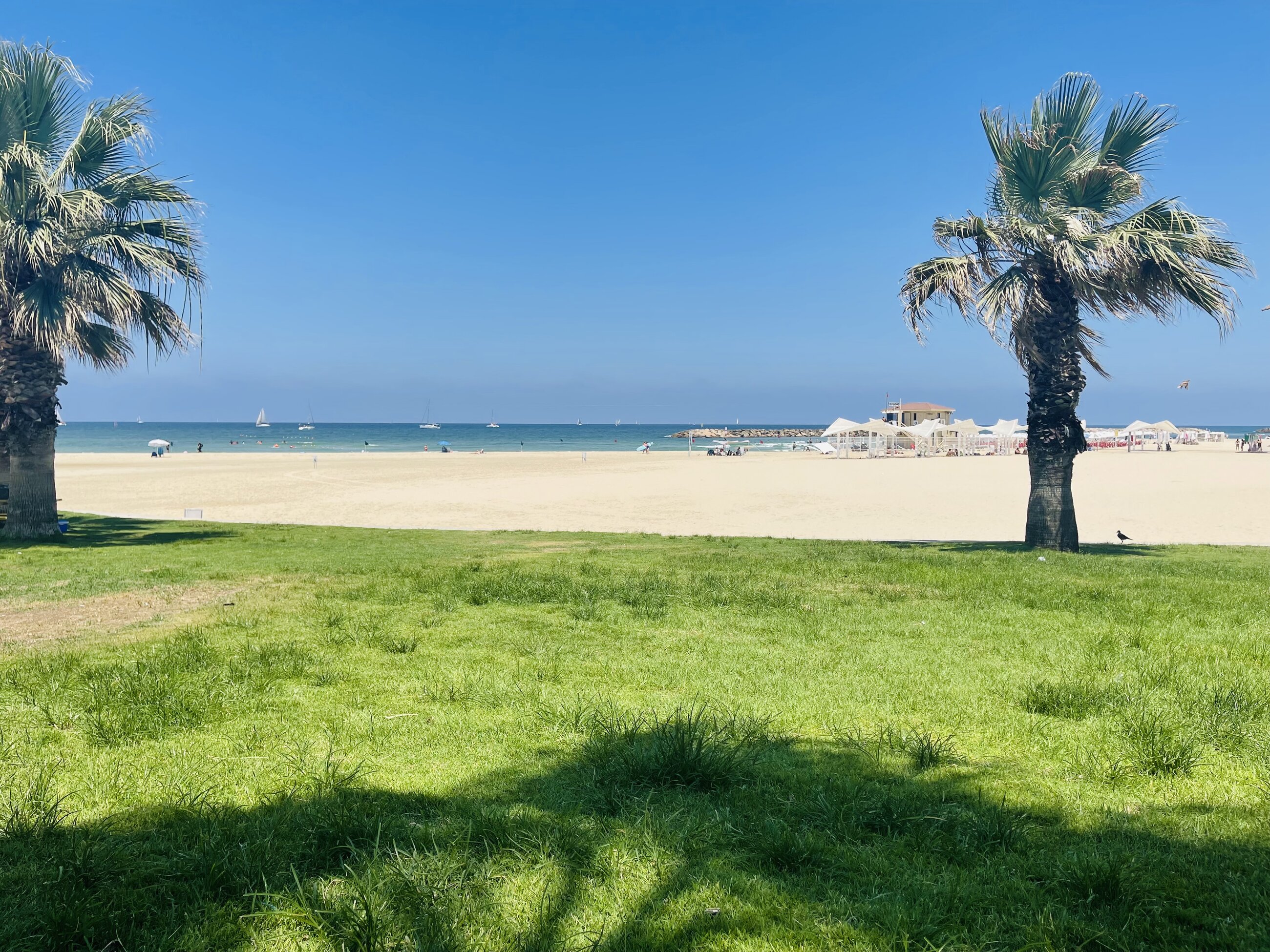 Sea in Palestine