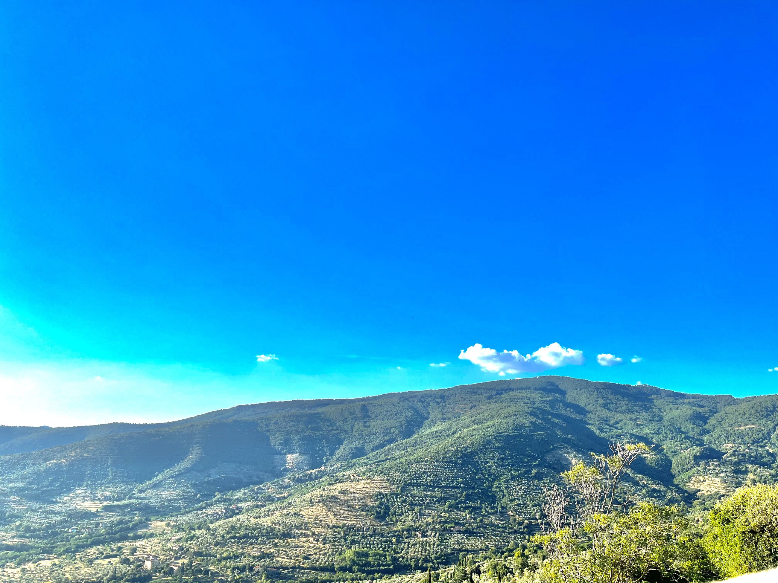 Country side at Cortona