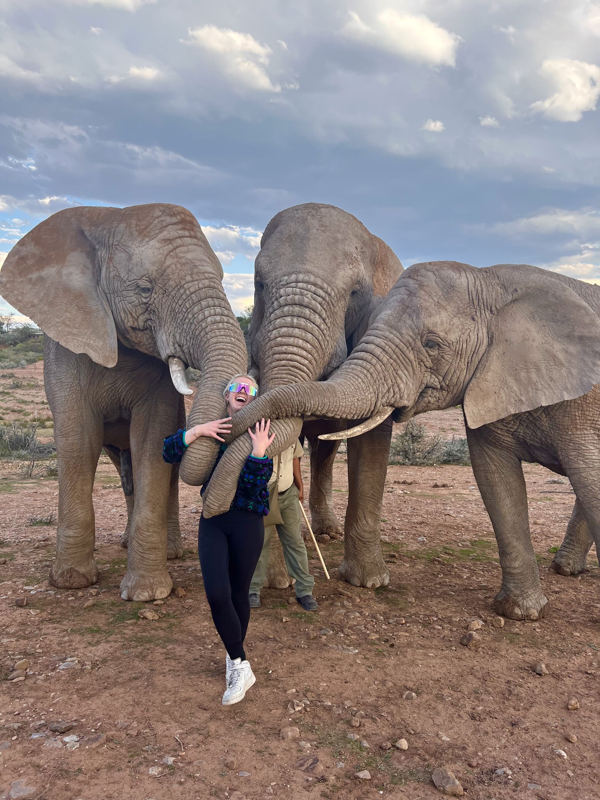 Elephant Walk, Garden Route, South Africa