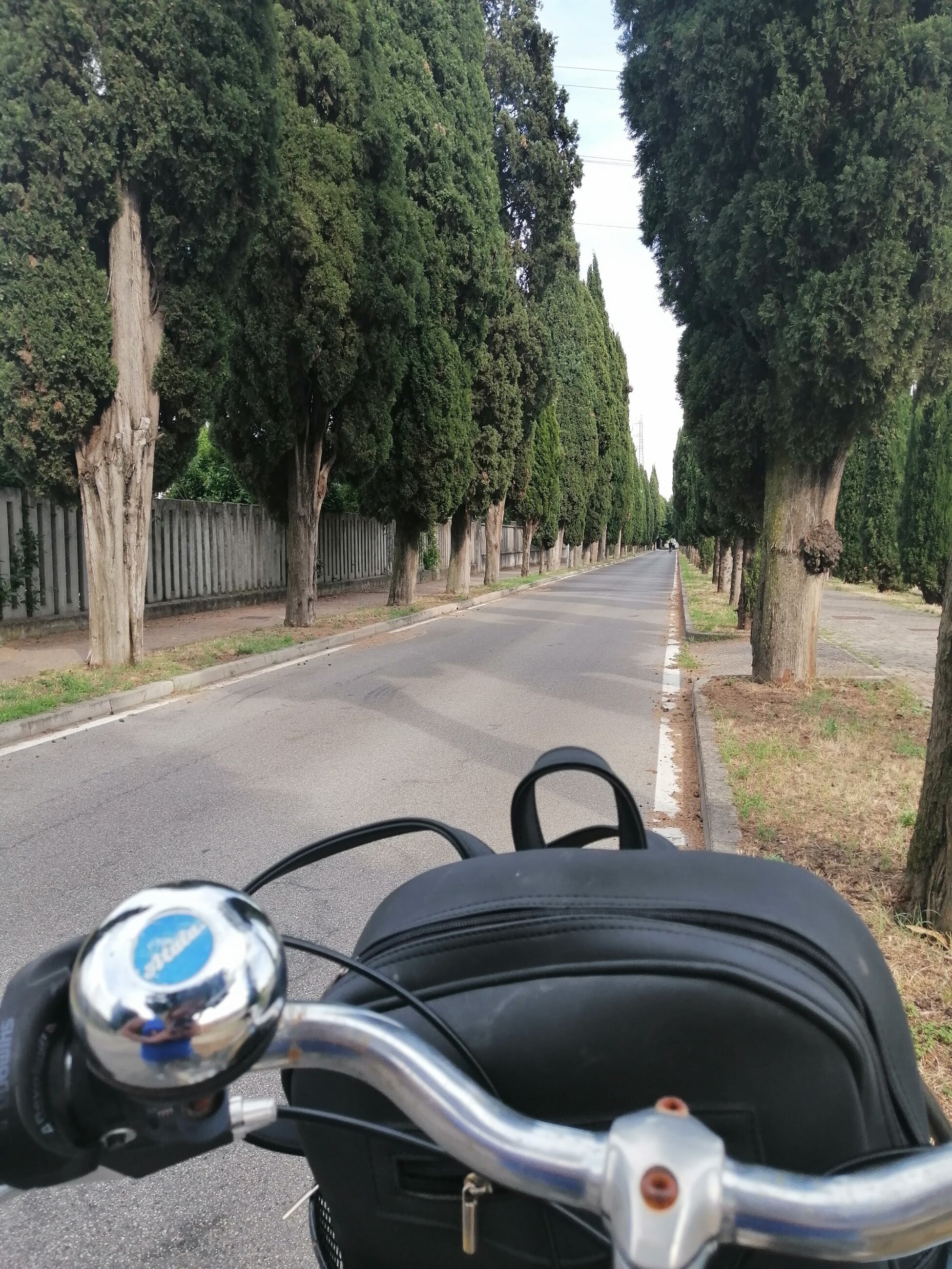 On my way to the camp!