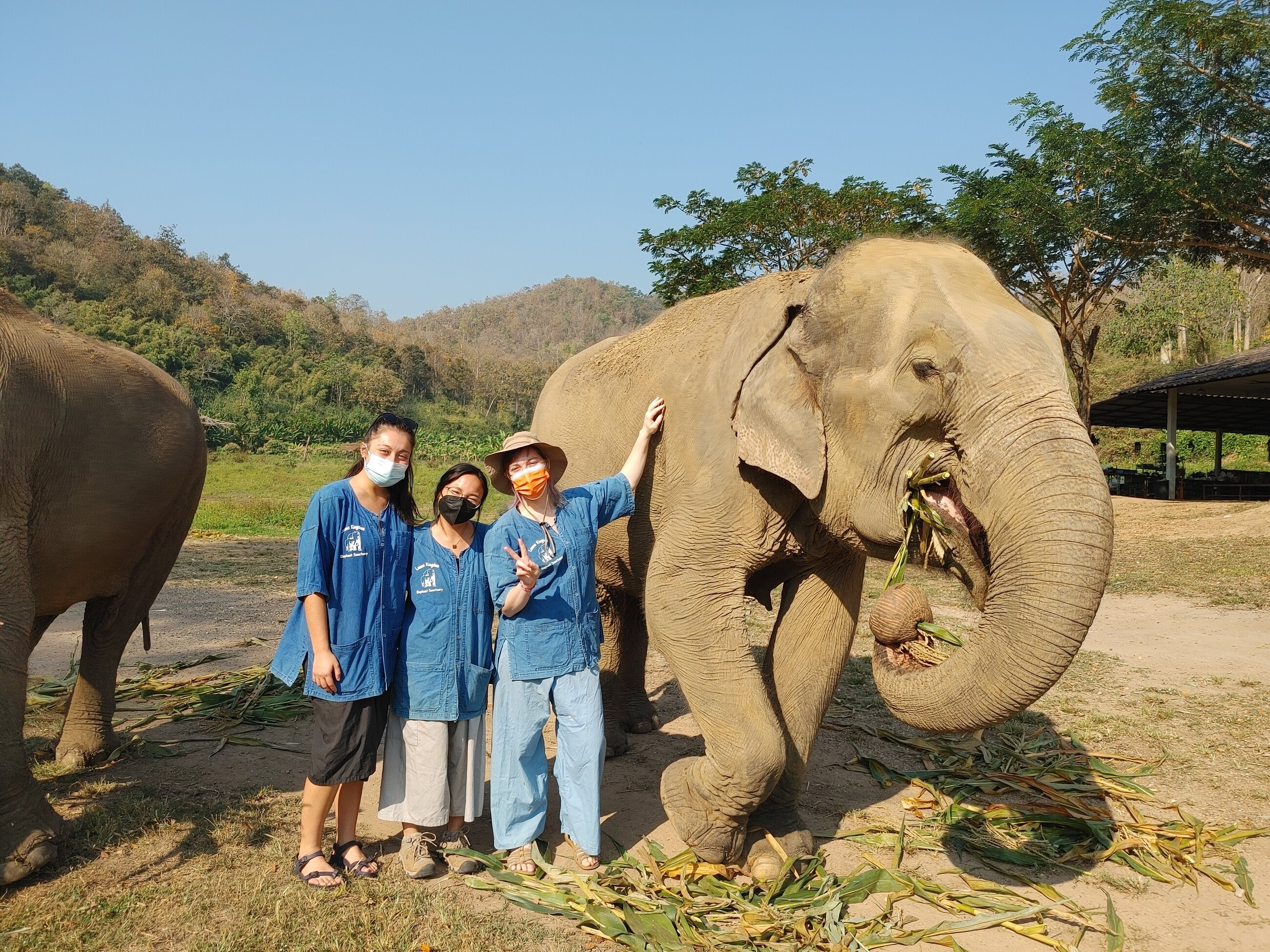 It was so fun to visit a couple of the beautiful elephant sanctuaries in Chiang Mai!