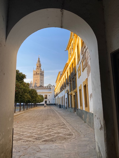 Beautiful view of the tower of the Cathedral