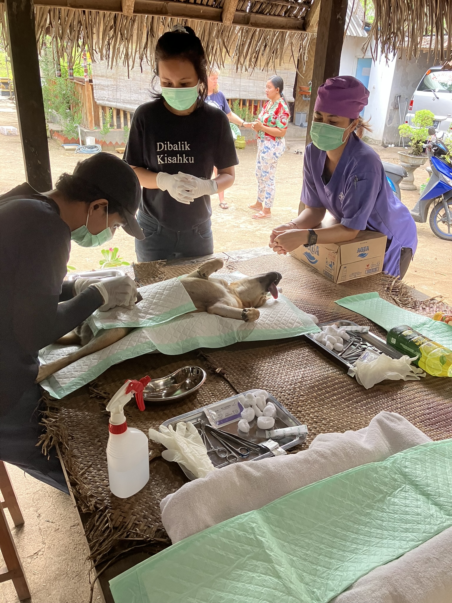 Sterilization day at restaurant