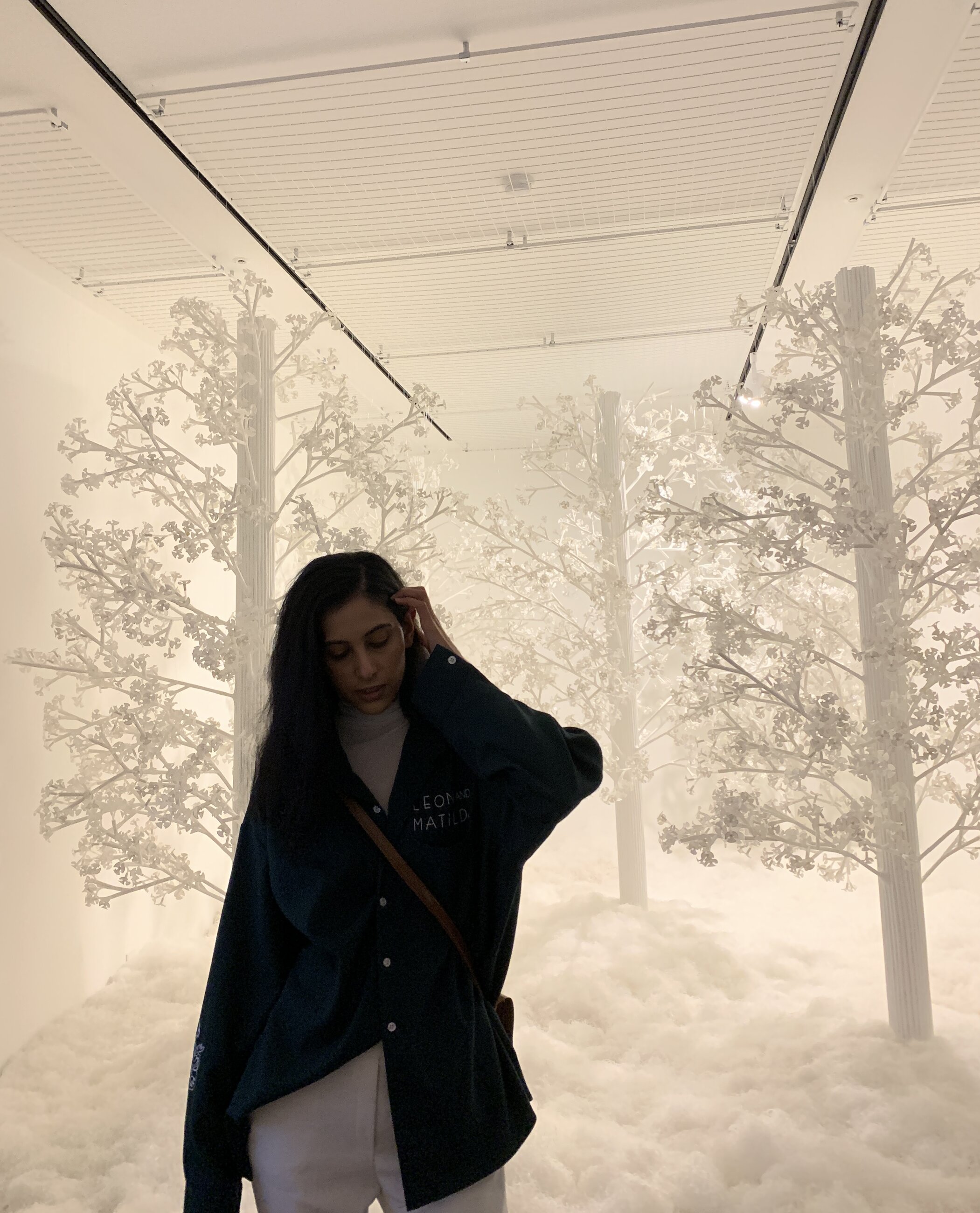Museum 1