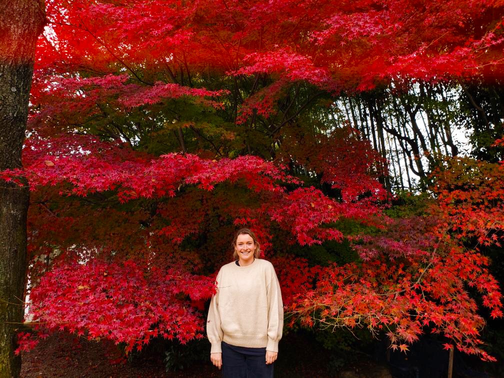 🍂 🍁 Kyoto