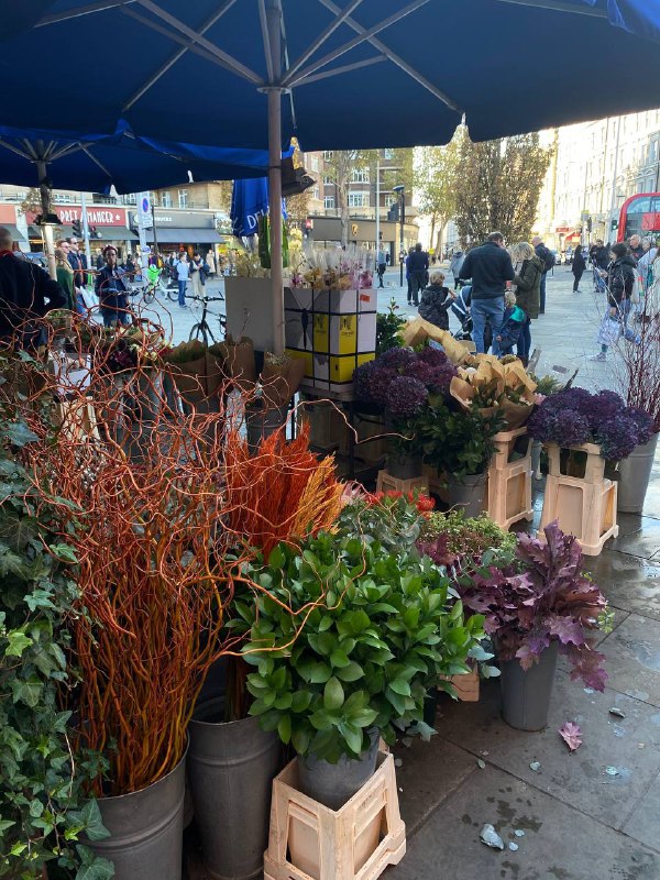 Flower shops