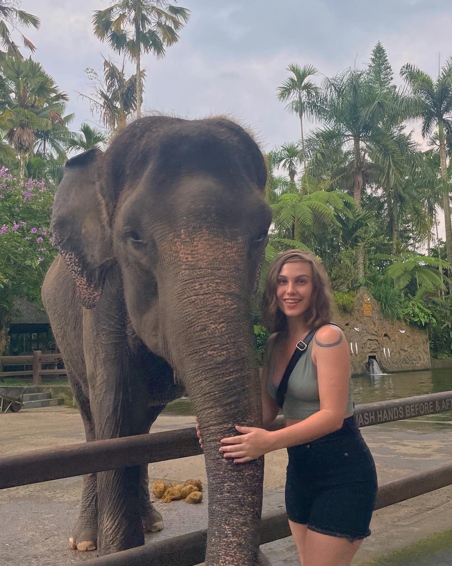 Local Adventures