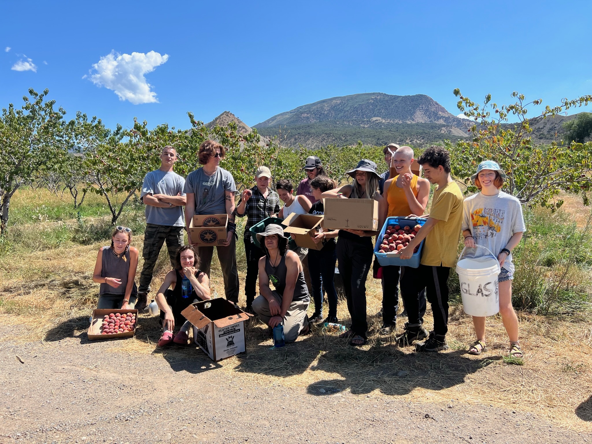 Peach picking at local farm in Paonia!