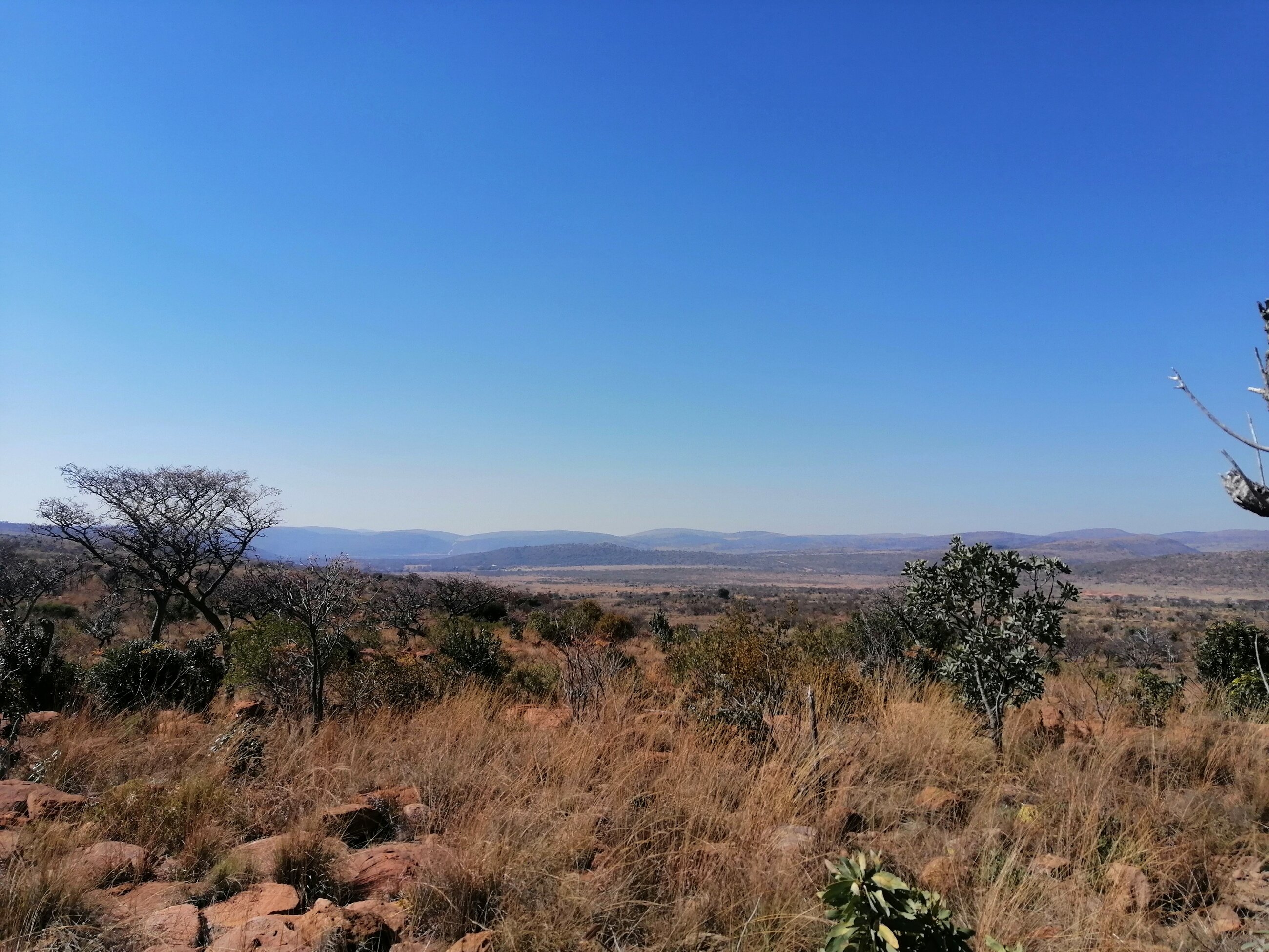 Landscape