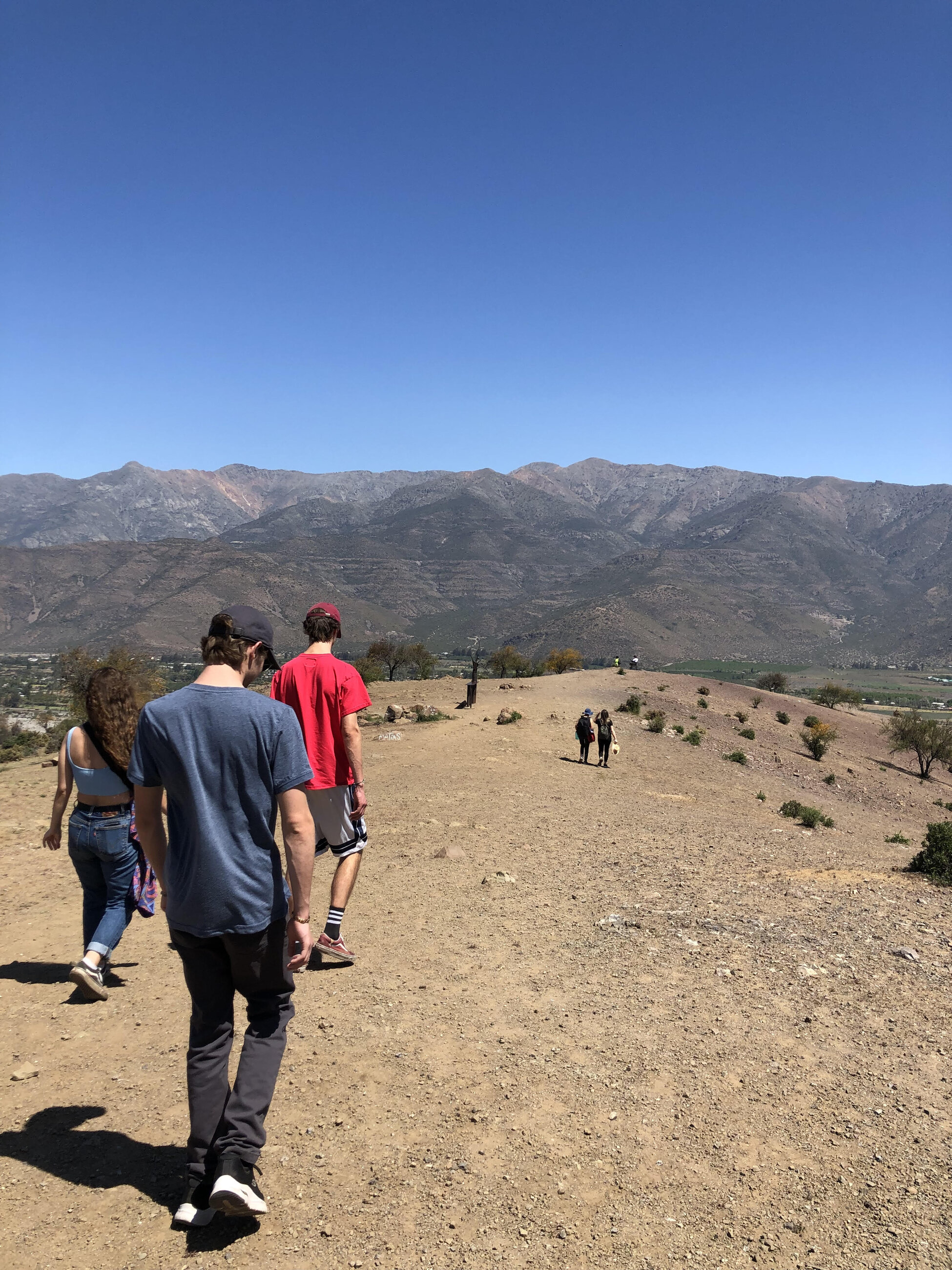 My group visiting the Valle de Aconcagua area!