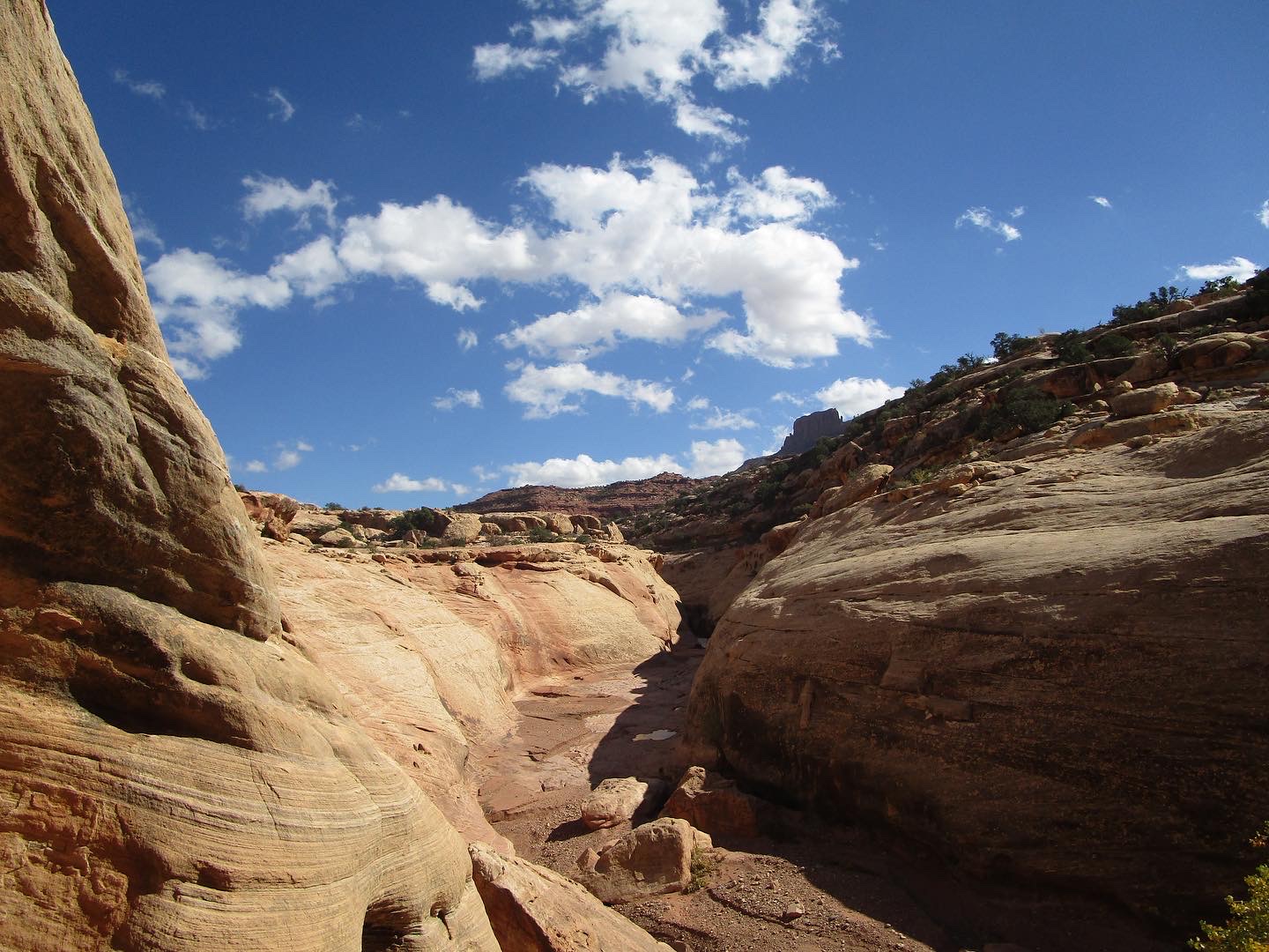 The canyons of Utah. 