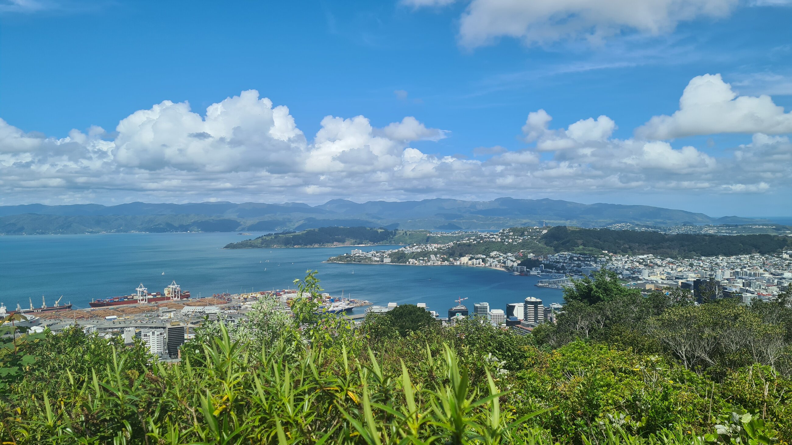 View over Wellington