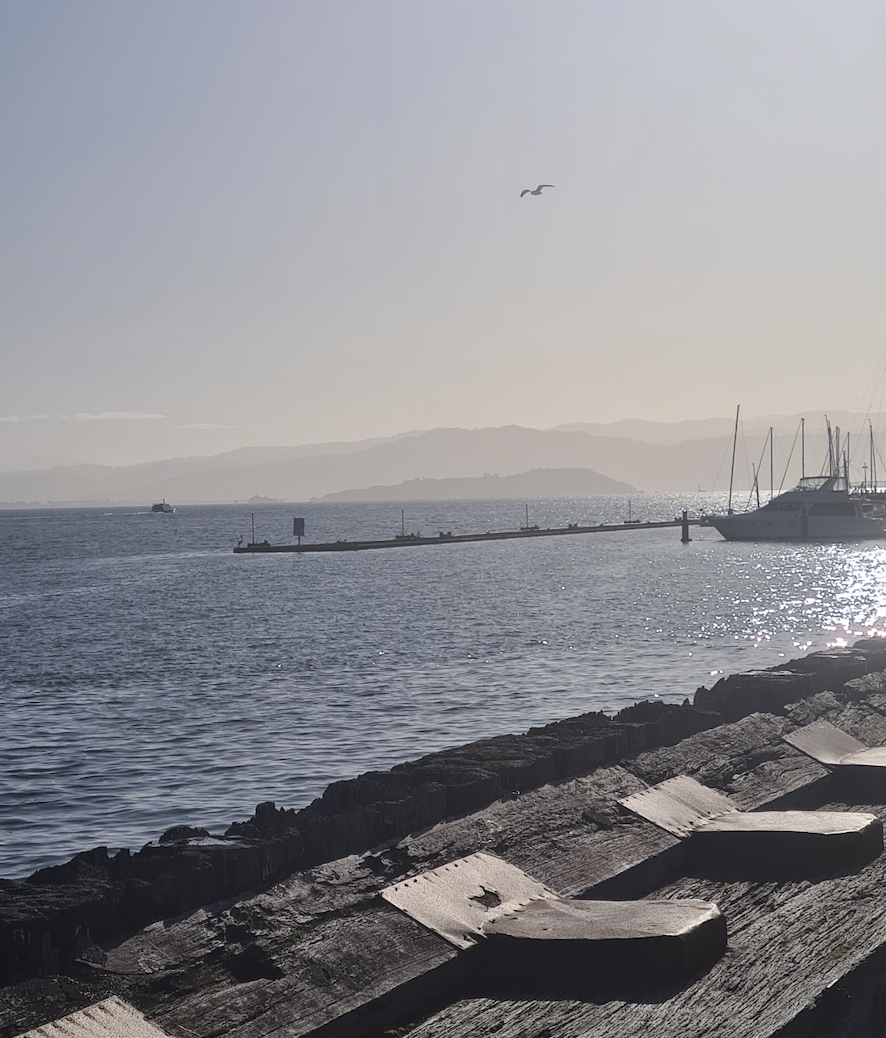 The morning walk to my workplace