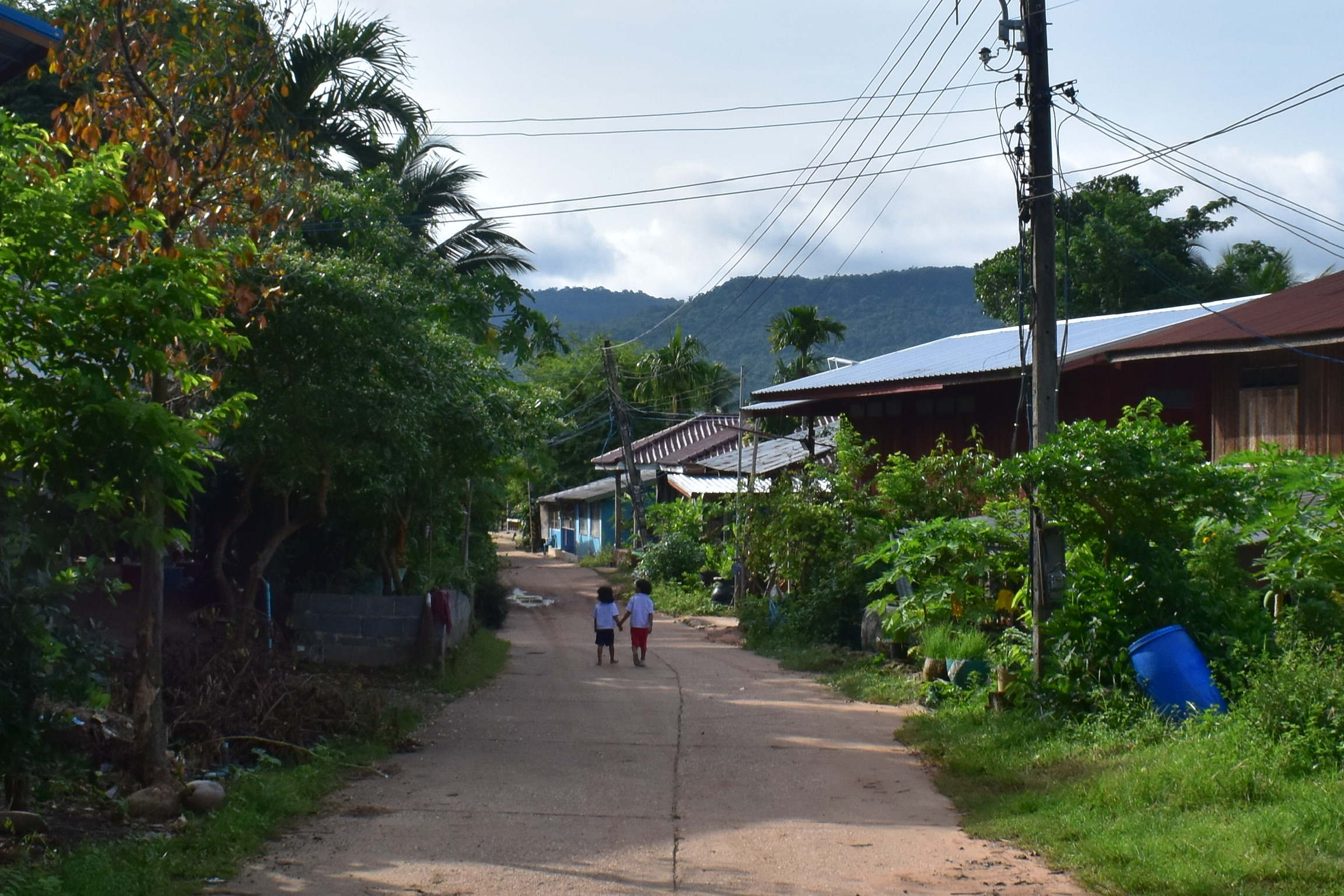 Village Homestay