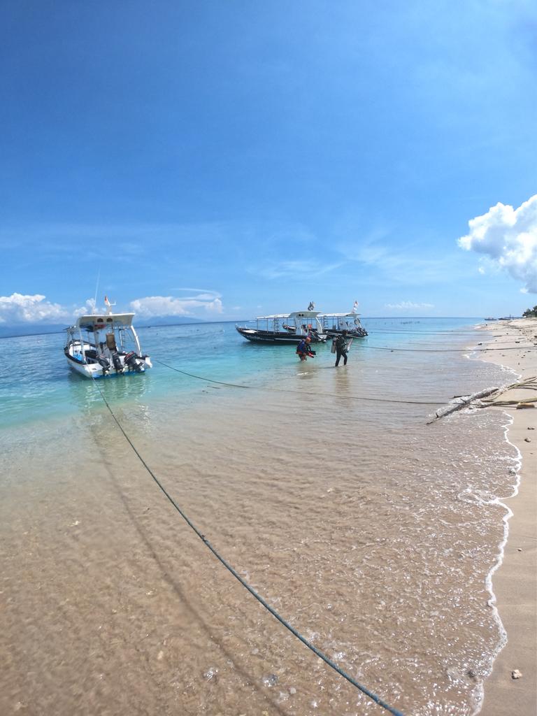 shore dive