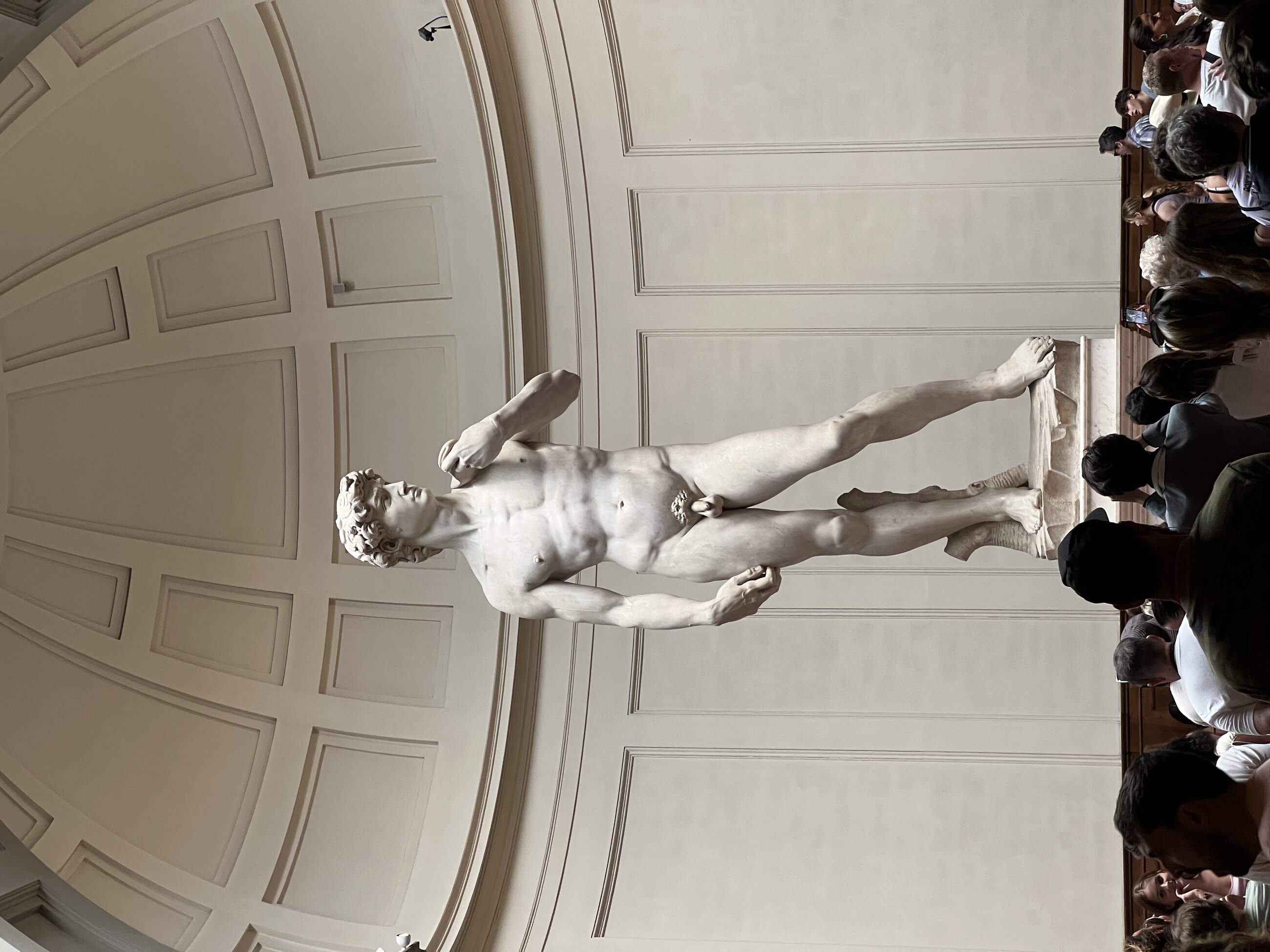 The David Statue